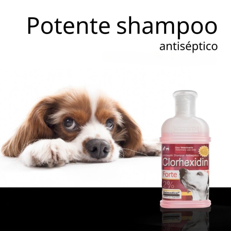 CLORHEXIDIN FORTE SHAMPOO FCO 200 ML CLORHEXIDIN FORTE SHAMPOO FCO 200 ML