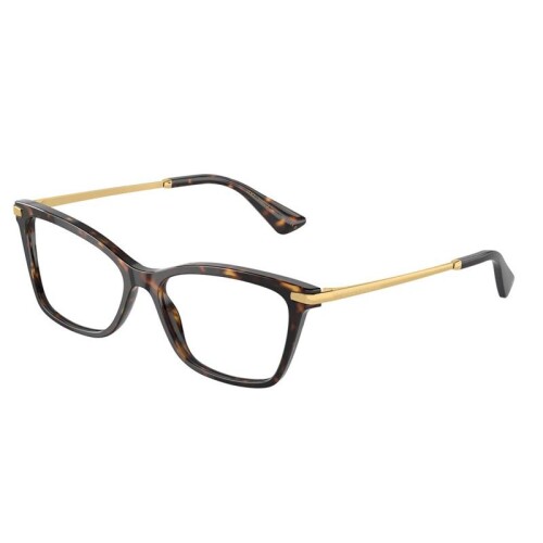 Dolce & Gabbana Dg3393 502