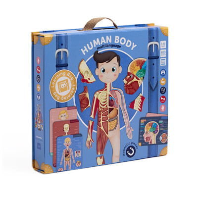 Cuerpo human imantado Multilenguage Cuerpo human imantado Multilenguage