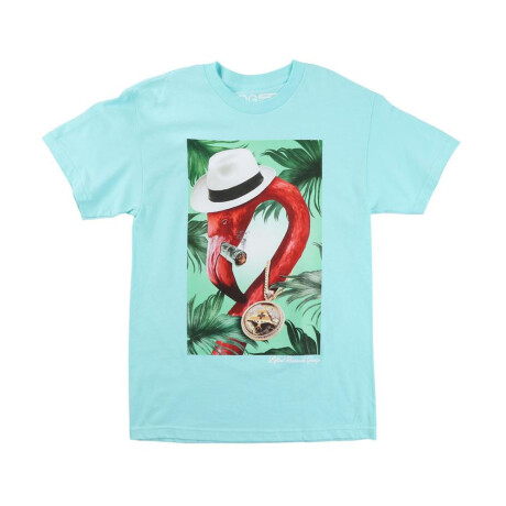 REMERA LRG FLAMINGO CELADON Light blue/Multco