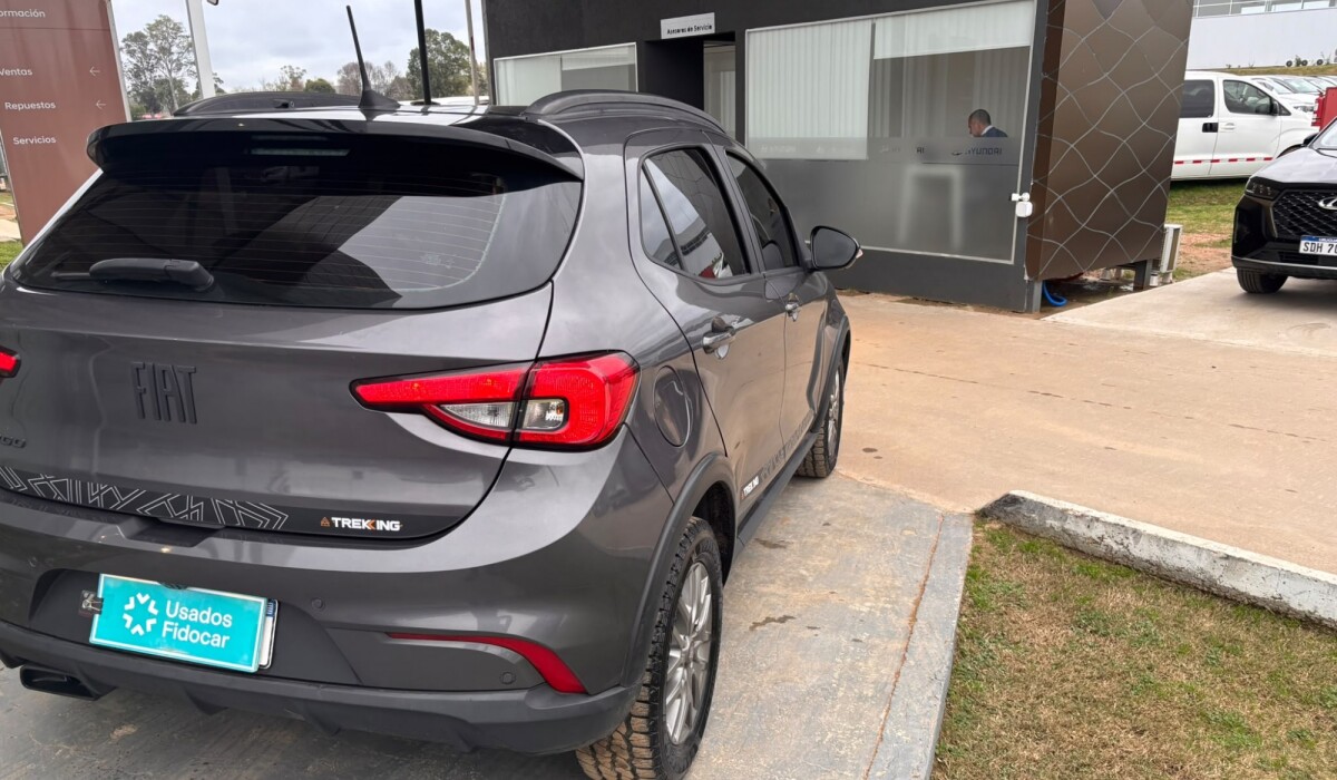 Fiat Argo 1.3 Trekking - 2021 Fiat Argo 1.3 Trekking - 2021