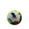 Bocha de Hockey oficial Multicolor