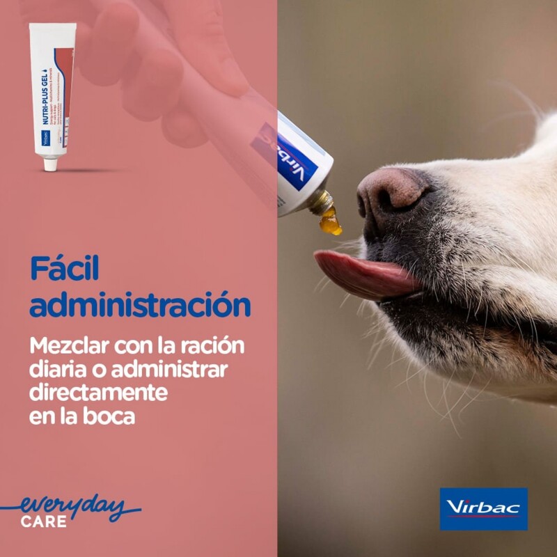 NUTRI PLUS GEL SUPLEMENTO ENERGETICO PERROS Y GATOS 120.5 GR NUTRI PLUS GEL SUPLEMENTO ENERGETICO PERROS Y GATOS 120.5 GR