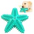 Juguete Perro Dental Morder Higiene Estrella Marina Flotante Color Variante Verde Agua