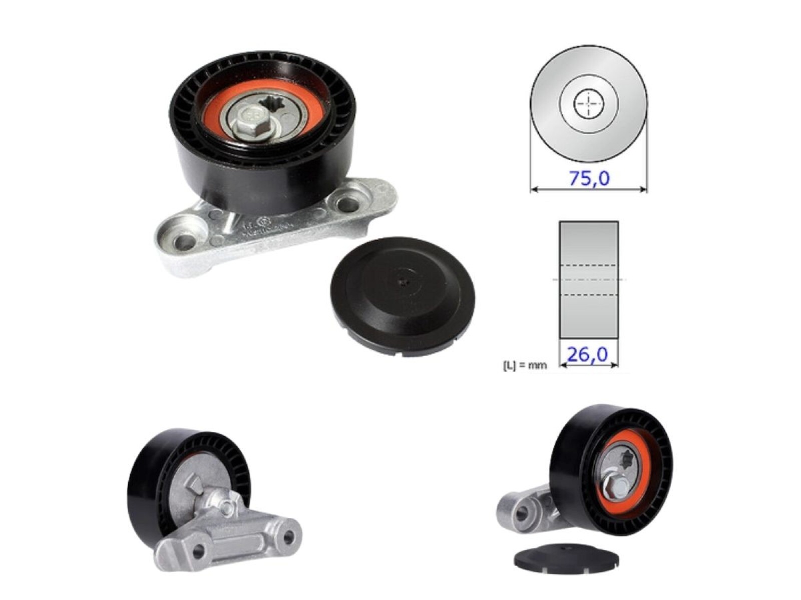 Tensor Correa Accesorios 