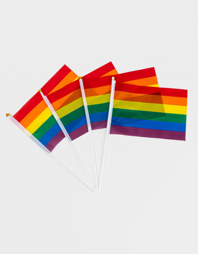 Eventos Varios Estampados Set De Banderitas "pride" - Combinacion Multicolor