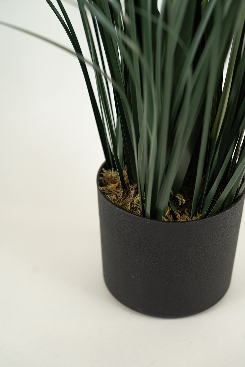 Planta Grass Violet 95cm Color Unico