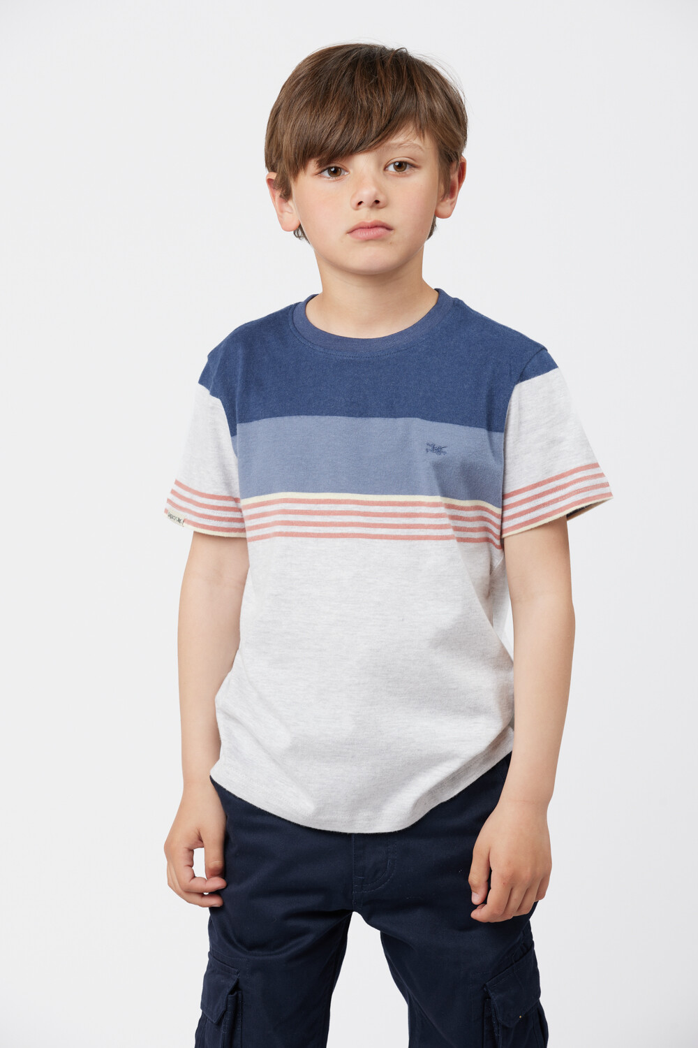 REMERA RAYADA Gris