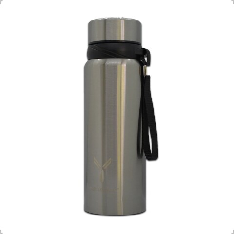 Termo Botella Termica Dellorean 600 ml Acero Inox Display Ax Variante Color Gris