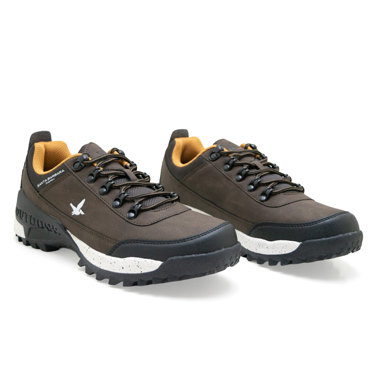 Championes Santa Barbara FREMONT Hombre - Marron 