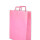 Bolsa lisa acuario 30x12x41 cm PASTEL PINK