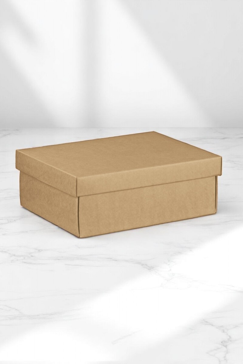 Caja + tapa easy 38x26x13 - 35835 - AVANA 