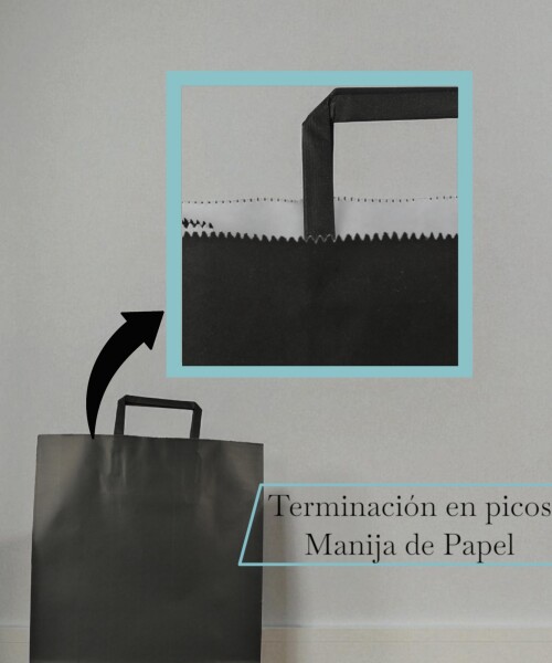 Bolsa lisa acuario 30x12x41 cm NEGRO