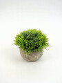 Planta Suculenta Artificial Color Unico