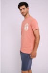 Remera estampada Terracota