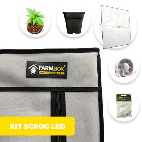 KIT INDOOR SCROG LED PROFESSIONAL 100X100X200CM