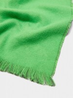 Bufanda Reversible Con Flecos verde
