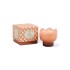 TULIP Vela Tulip De Vidrio 5.5oz Paddywax - Cactus Flower
