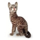Peluche Numi Gato Sentado 30 Cm Peluche Numi Gato Sentado 30 Cm