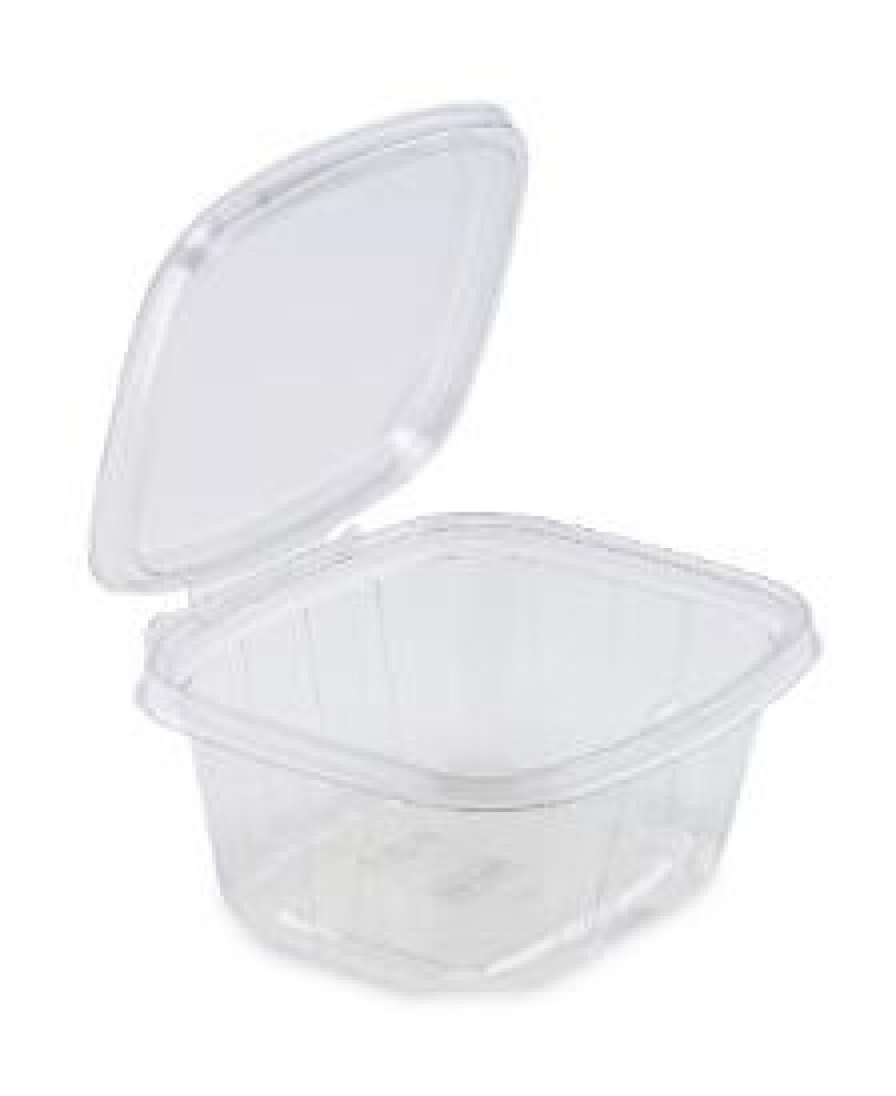 POTE BISAGRA PET RECTANGULAR CON LACRE 480ML 14 x 11,8 x 6,4 CM 