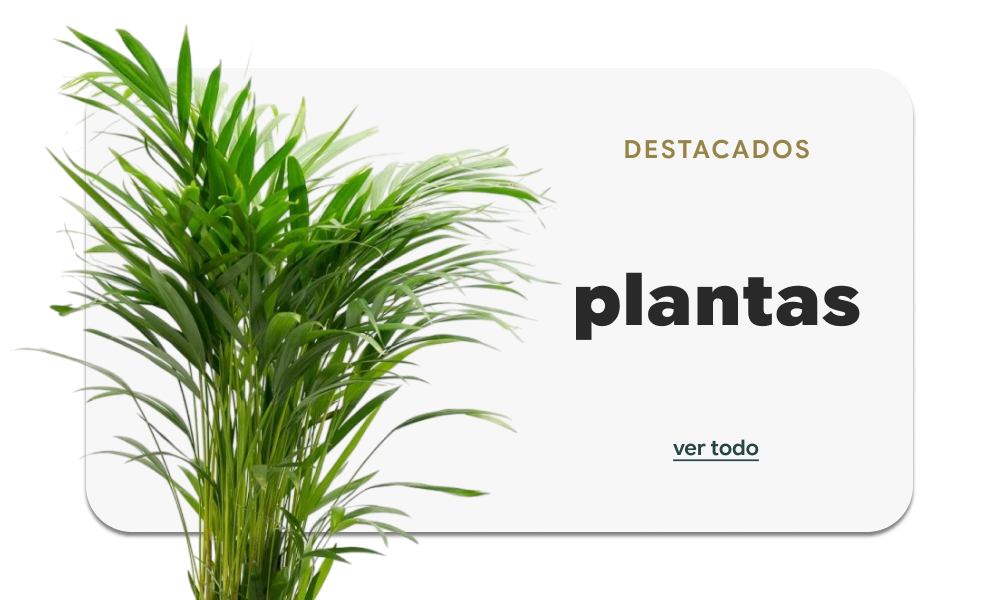 Plantas