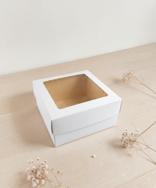 Caja 20x20x9,5 c/visor. BLANCO