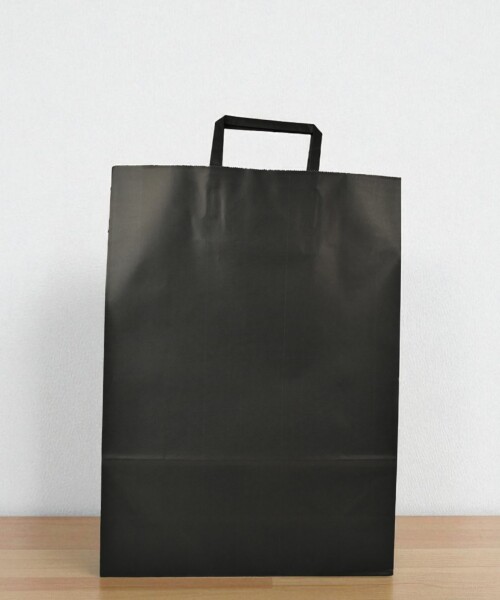 Bolsa lisa acuario 30x12x41 cm NEGRO