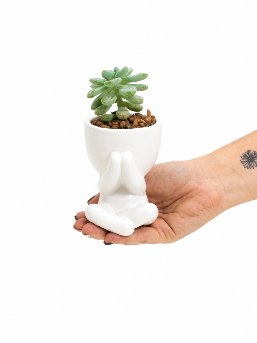 LITTLE PEOPLE CON SUCULENTA BLANCO
