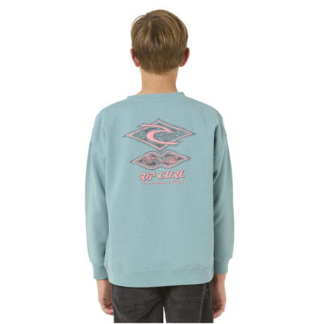 Buzo Rip Curl Raw Energy Crew Niño