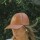 Royal Cap Camel Con Beige