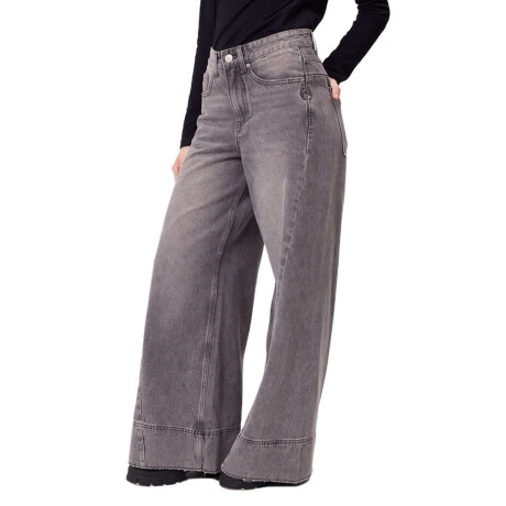 Pantalon Rusty Ferpu Gris