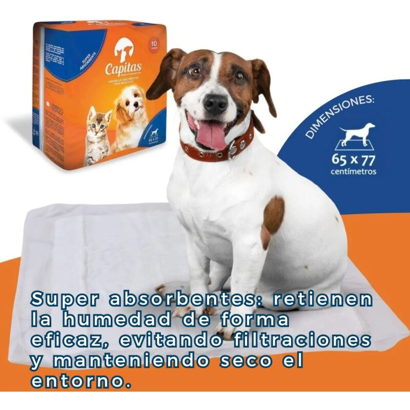 PAÑALES SABANITAS DE ENTRENAMIENTO DE MASCOTAS CAPITAS 10 UNIDADES PAÑALES SABANITAS DE ENTRENAMIENTO DE MASCOTAS CAPITAS 10 UNIDADES