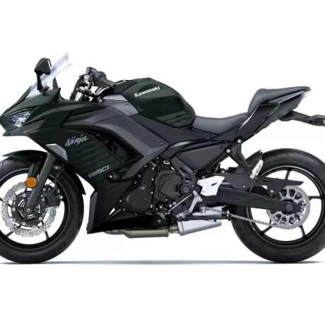 Kawasaki Ninja 650 ABS Verde oscuro