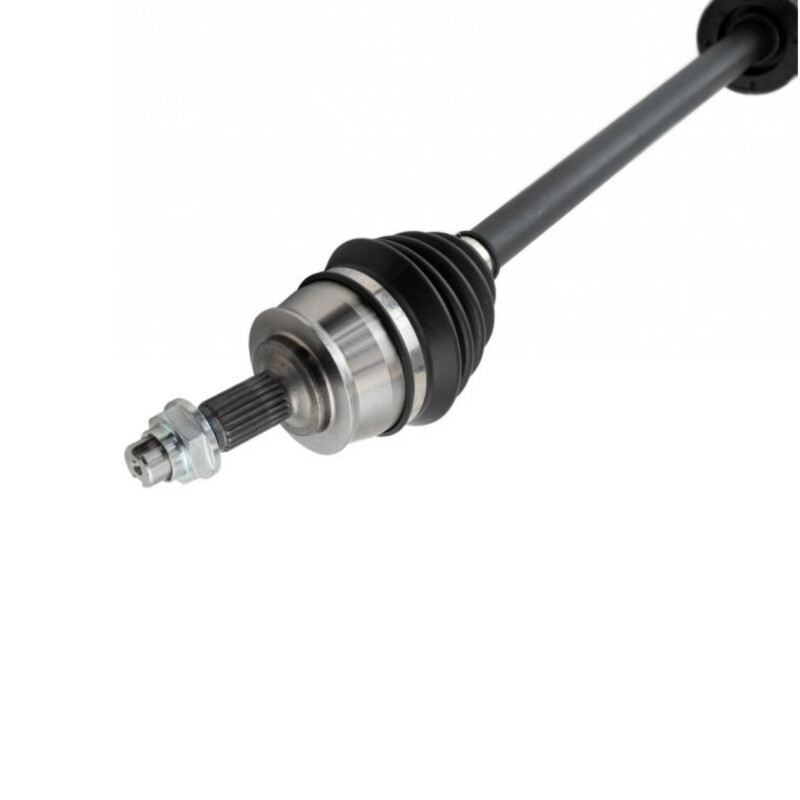 SEMIEJE COMPLETO DERECHO Semieje Completo Derecho