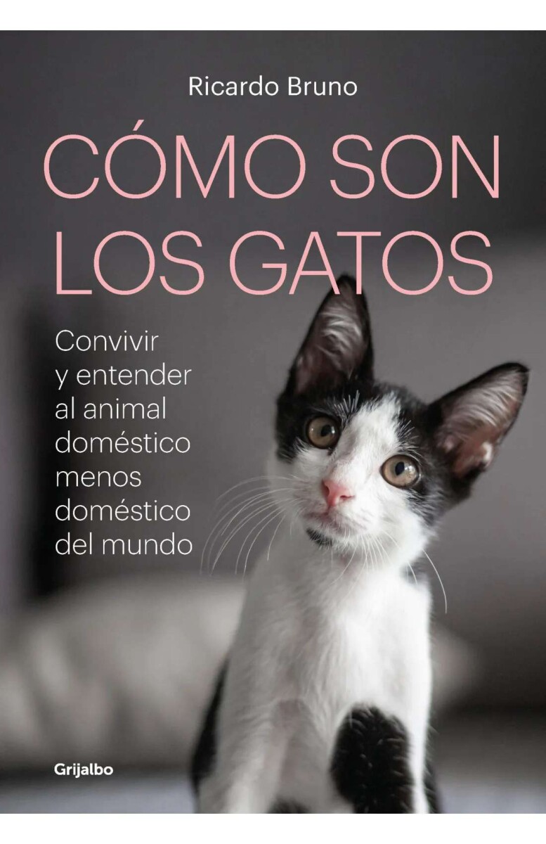 Cómo son los gatos 