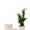 SET 3 MACETAS CERAMICAS CON PLATO BLANCAS