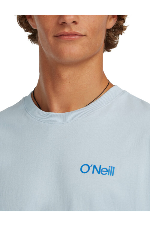 Remera O'Neill Pleasure Point Celeste