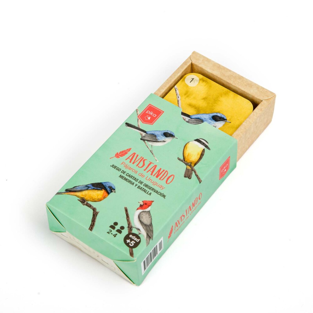 CARTAS CARTON AVISTANDO PÁJAROS DE URUGUAY