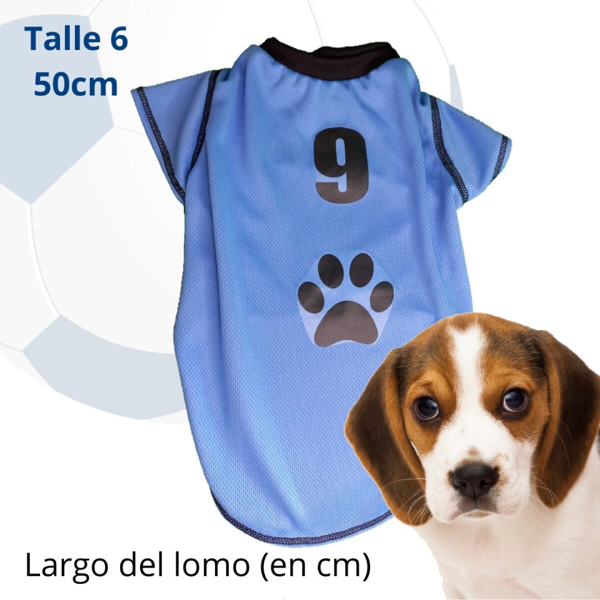 Camiseta Uruguay T:6 