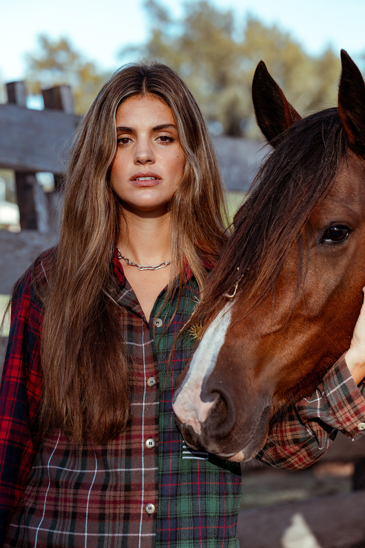 Charrúa Shirt Cuadrillé Verde / Habano