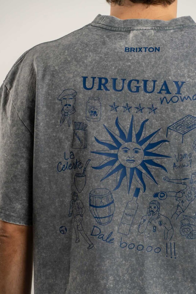 Camiseta La Celeste Gris