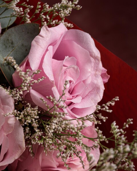 Rosas Garden Rosadas Rosas Garden Rosadas