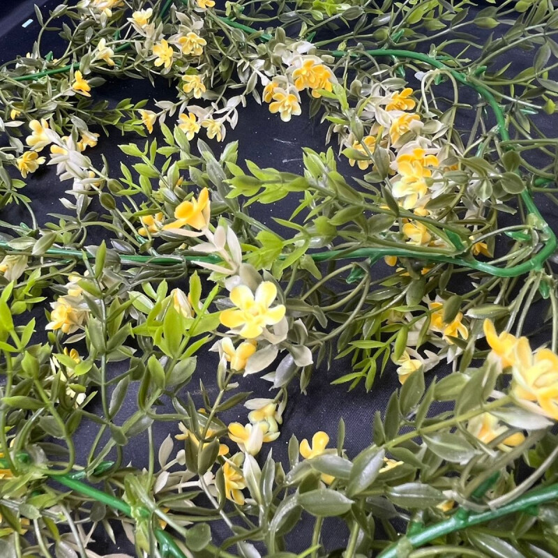 Guía de Hojas y Flores Guía de Hojas y Flores