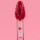 Labial Glossy Minimalist morados Nº02