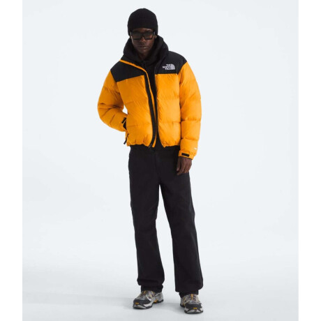 Campera de Pluma 1996 Nuptse hombre Summit Gold/tnf Black/r