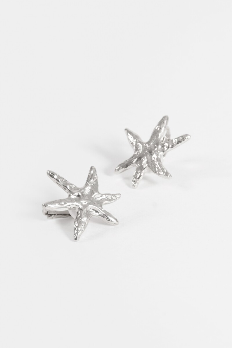 Caravanas clip estrellas plateado