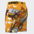 Calzoncillos PSD WF Pumpkin Spice Multicolor