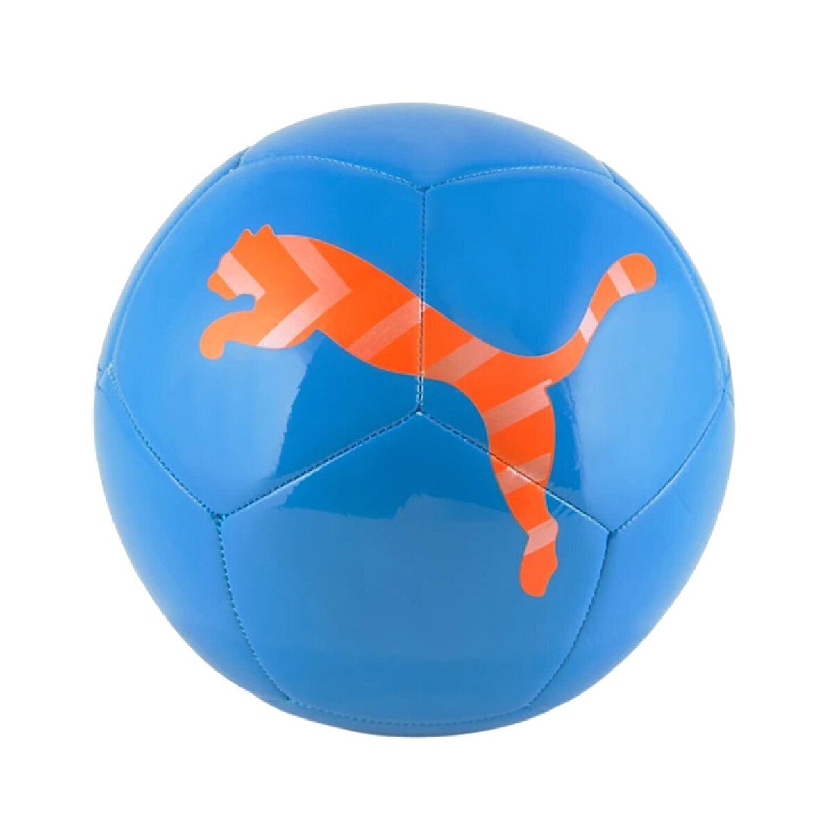 Pelota Puma Icon Ball 