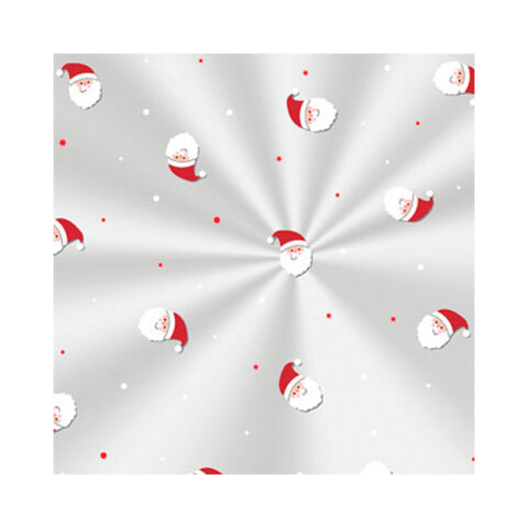 Bolsas para Panettone ALEGRE x50 100 g