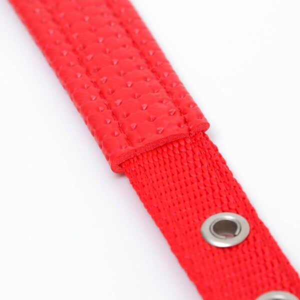Collar Ajustable Reforzado Hebilla Nylon Perro Gato Mediano Variante Color Rojo